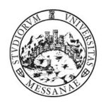 Université de Messine